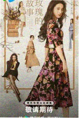 总裁的星剧前妻